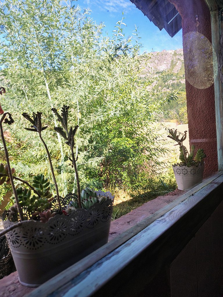 Mi Casa Tu Casa D , apto mascotas